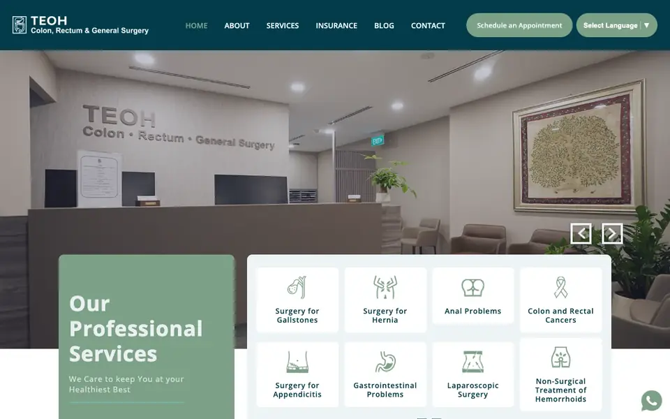 Dr Teoh Tiong Ann website homepage, 4 Oct 2026